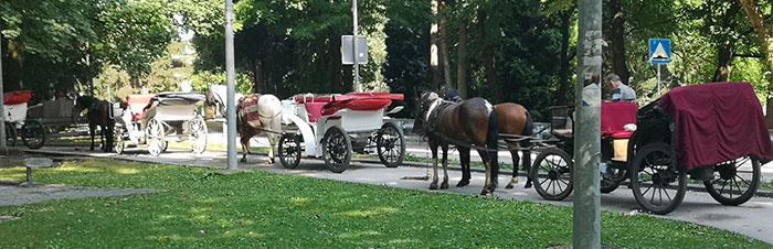 calessi nel parco di ilidza